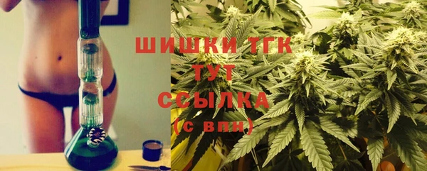 стаф Алексин