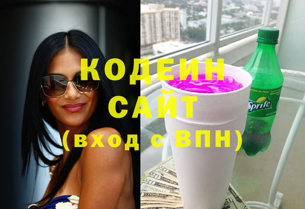 шишки Алзамай
