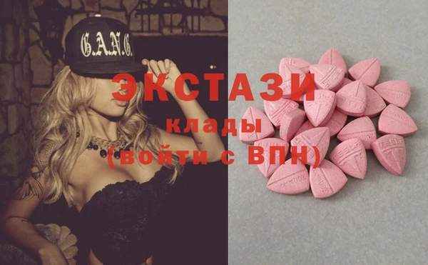 стаф Алексин