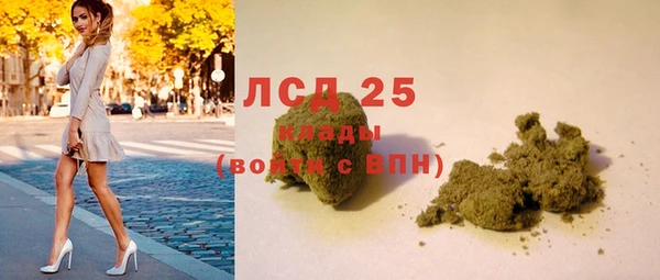 стаф Алексин