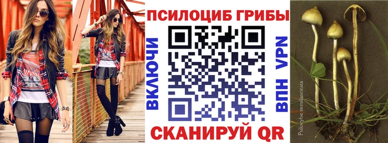 Псилоцибиновые грибы Psilocybe  Никольское 
