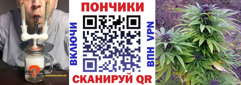 Шишки марихуана сатива  Никольское 